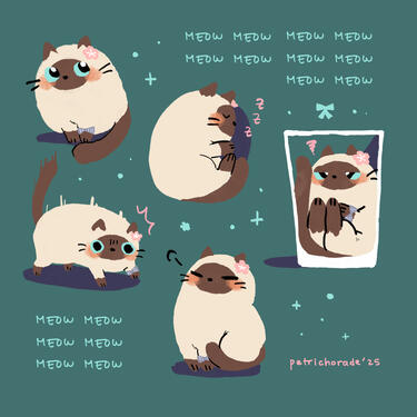 Cat - Ruan Mei Cat - Ruan Mei